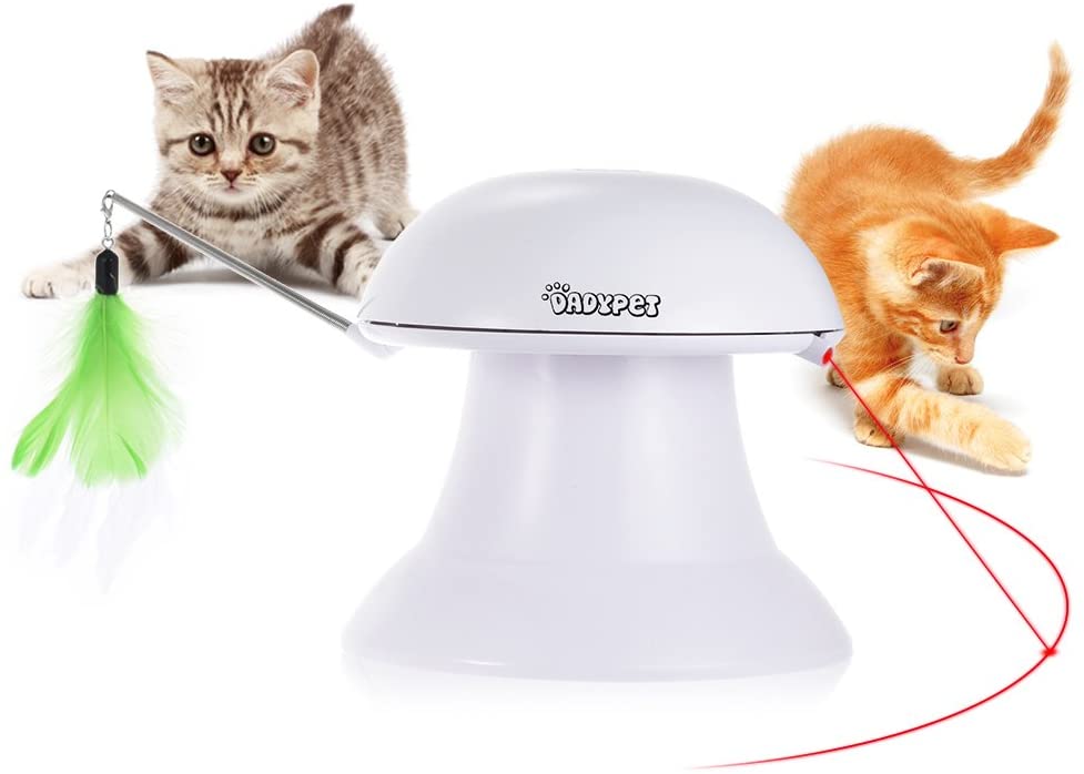 two cats chasing an automatic cat laser toy.